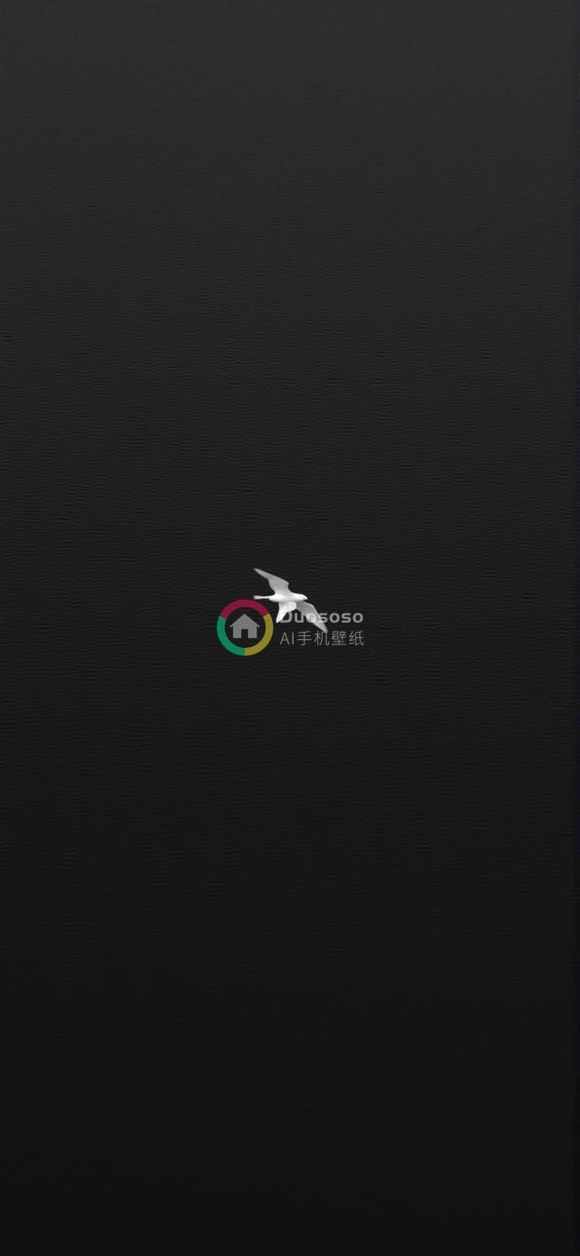 黑背景下的白鸟展翅瞬间：极简主义与静谧之美