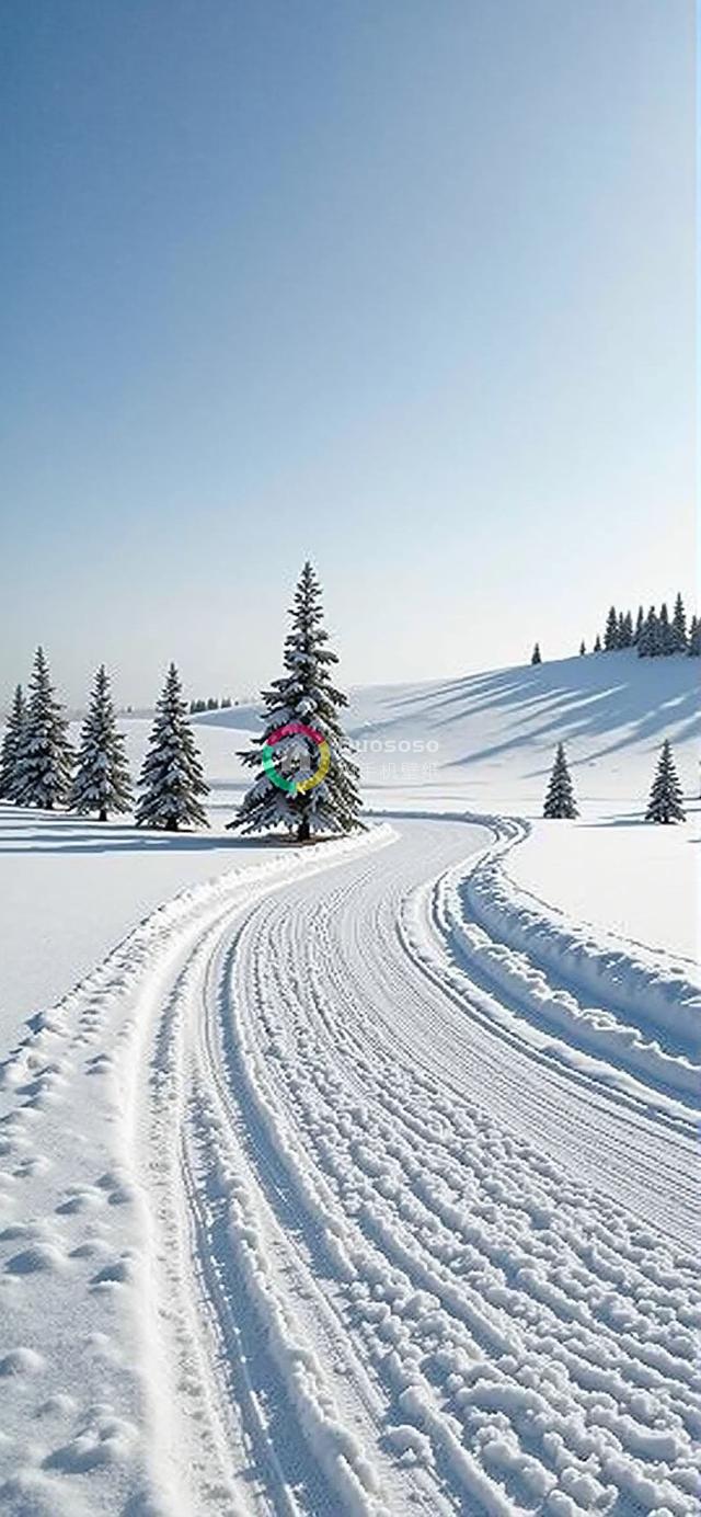 晴朗冬日雪景摄影：蜿蜒雪道映衬松林，蓝天辉映静谧风光