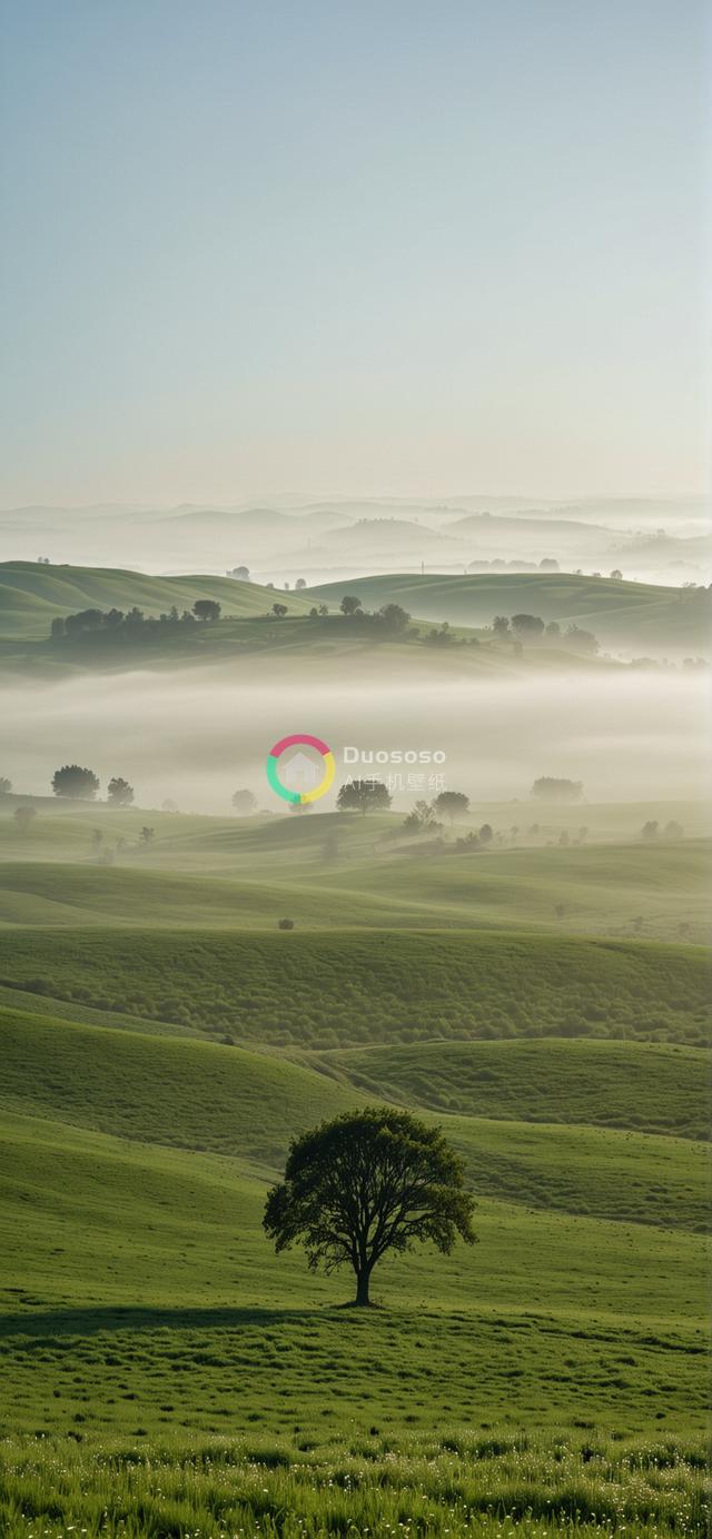 宁静风光：晨雾缭绕山谷，翠绿丘陵与柔和彩霞相映成趣