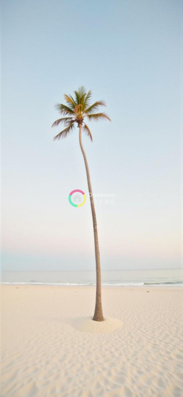 孤椰树与宁静海滩的绝美风光