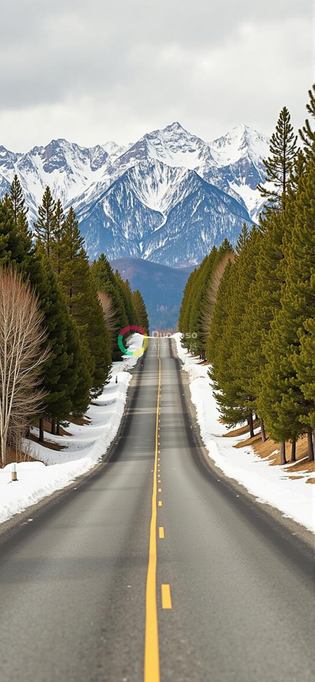 冬日雪景壮丽山道摄影：通向雪峰的孤独公路