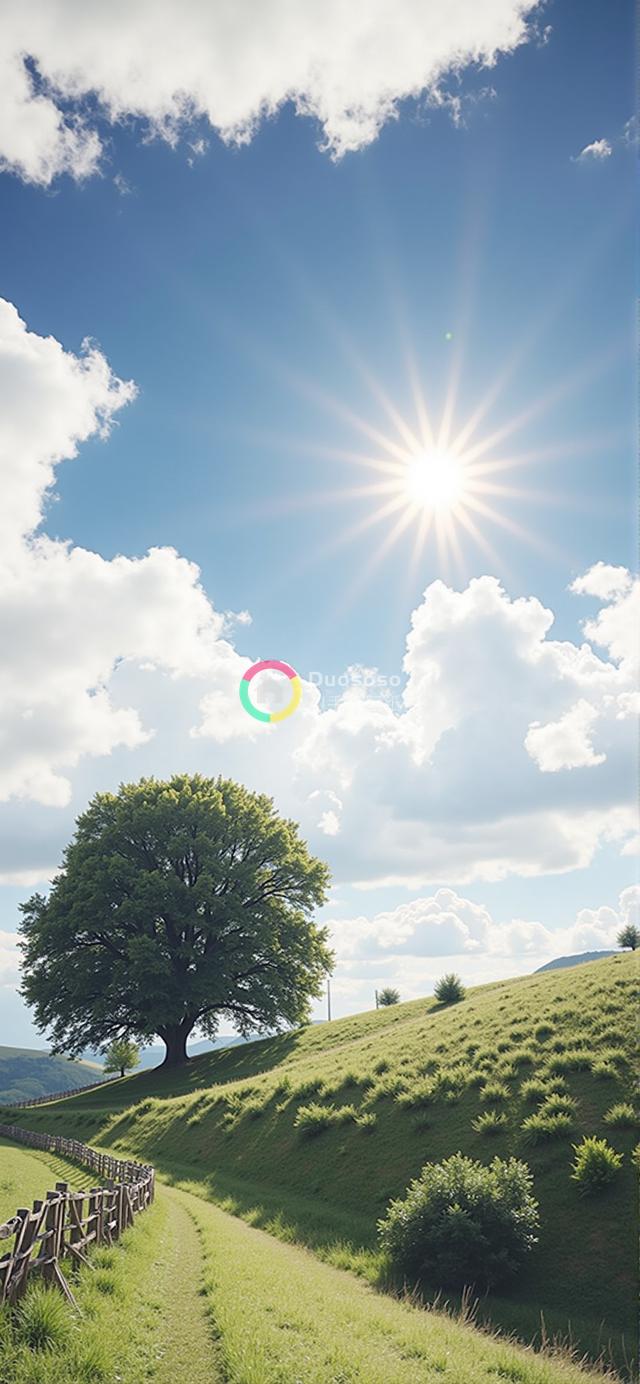 绿叶山坡孤树照：宁静与平和的美景