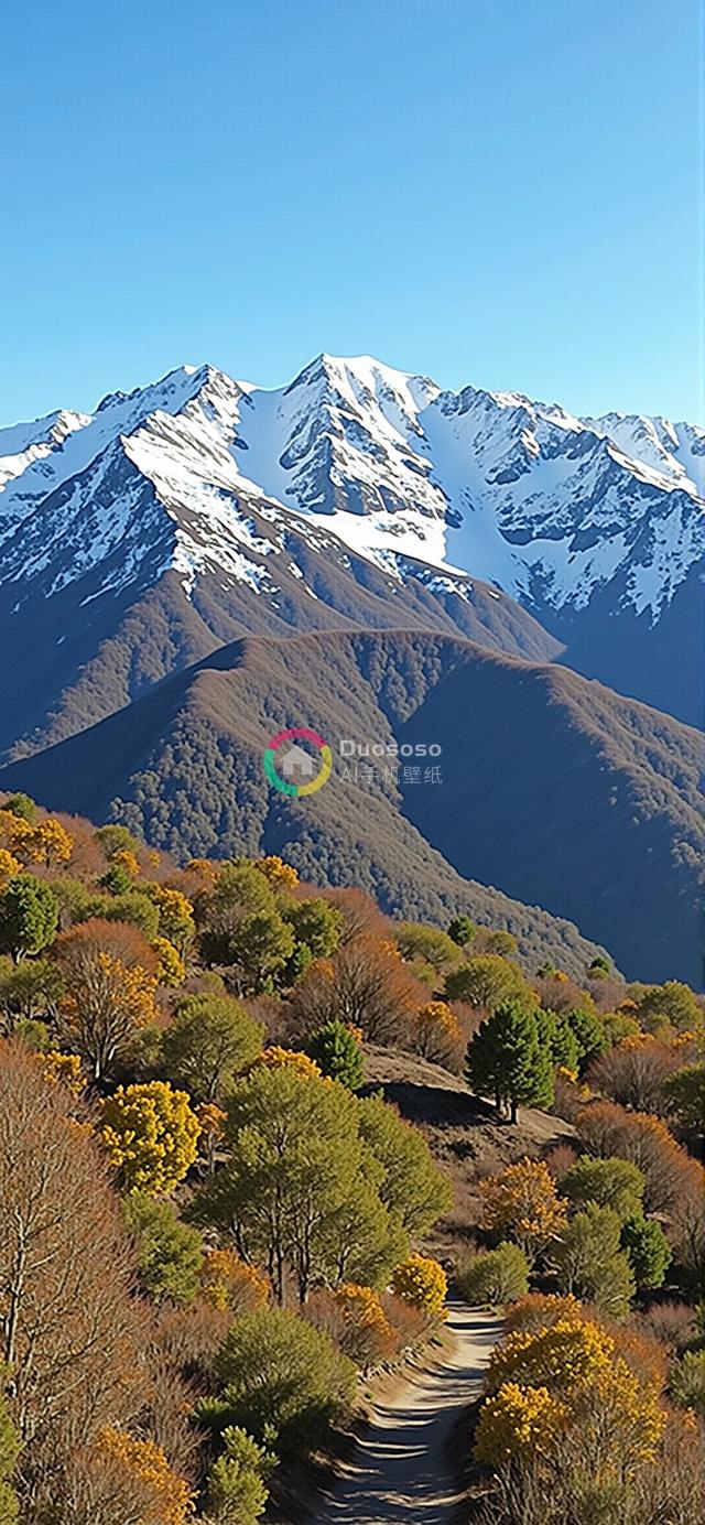 雪峰壮丽山脉与秋色斑斓森林的绝美风光摄影