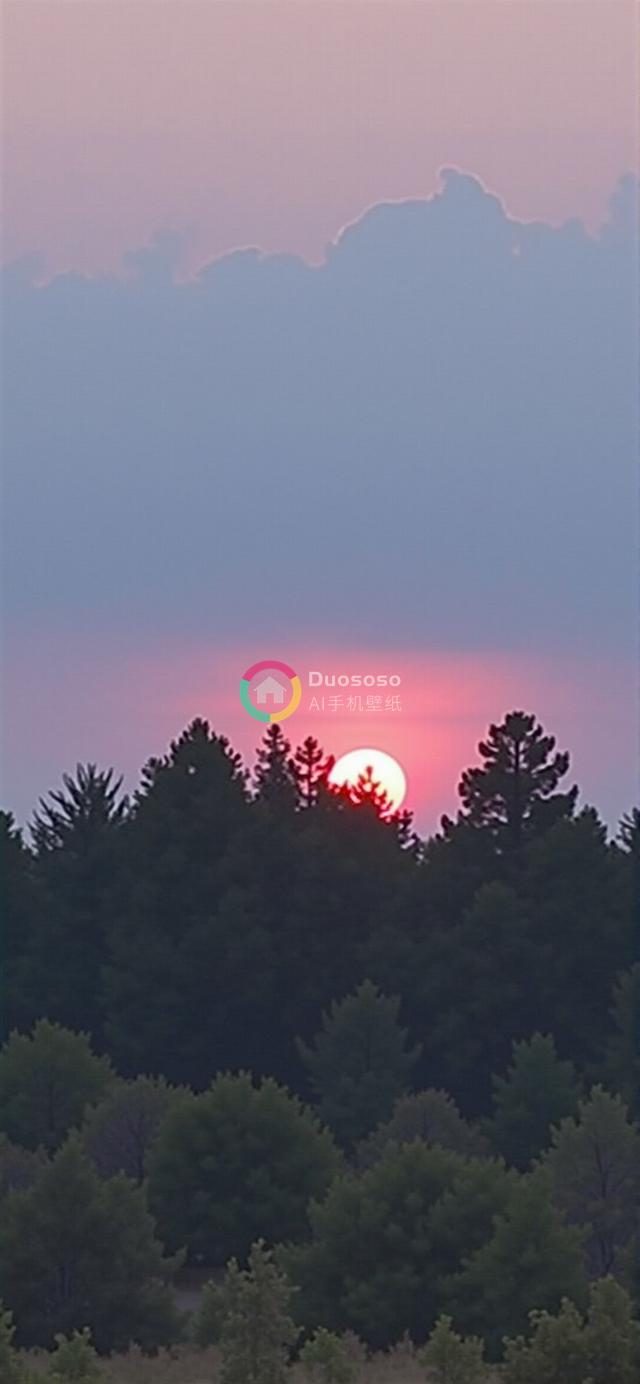 彩霞映衬下的常青树剪影：落日余晖下的粉紫蓝渐变天空