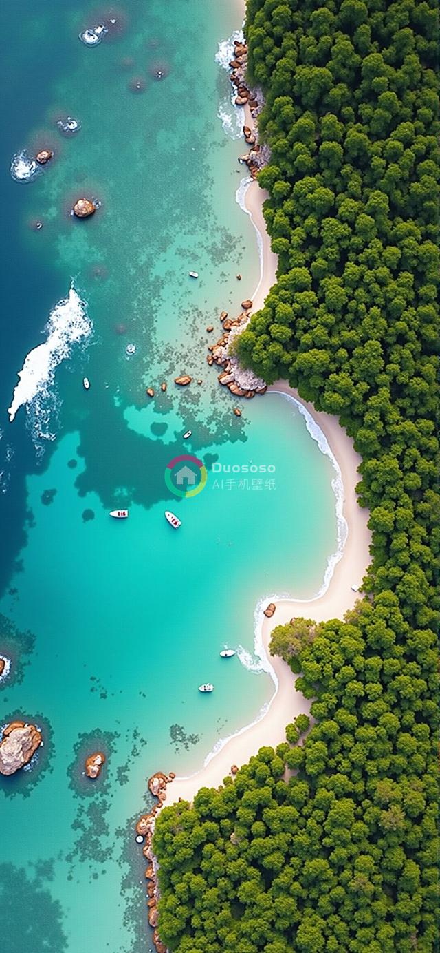 “俯瞰热带岛屿：珊瑚礁与白沙滩的纯净海景”