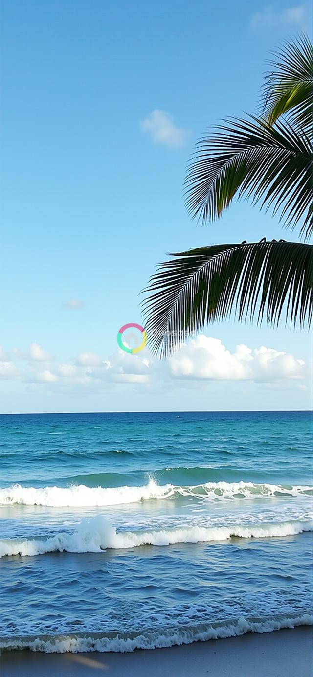 晴日宁静海滩景象：碧波轻拍沙滩，棕榈摇曳生姿