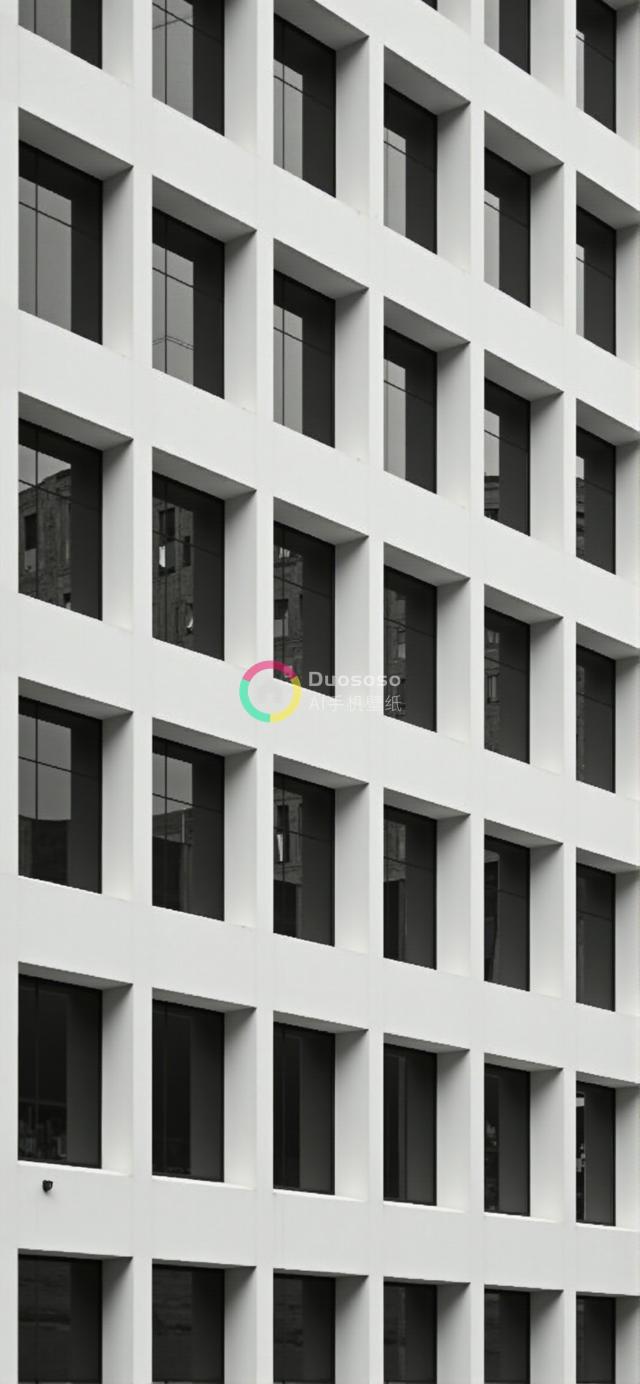 黑白摄影展现方形窗格建筑立面图案美