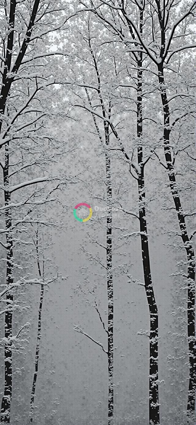 黑白低角度雪覆盖森林摄影展现冬季荒凉之美