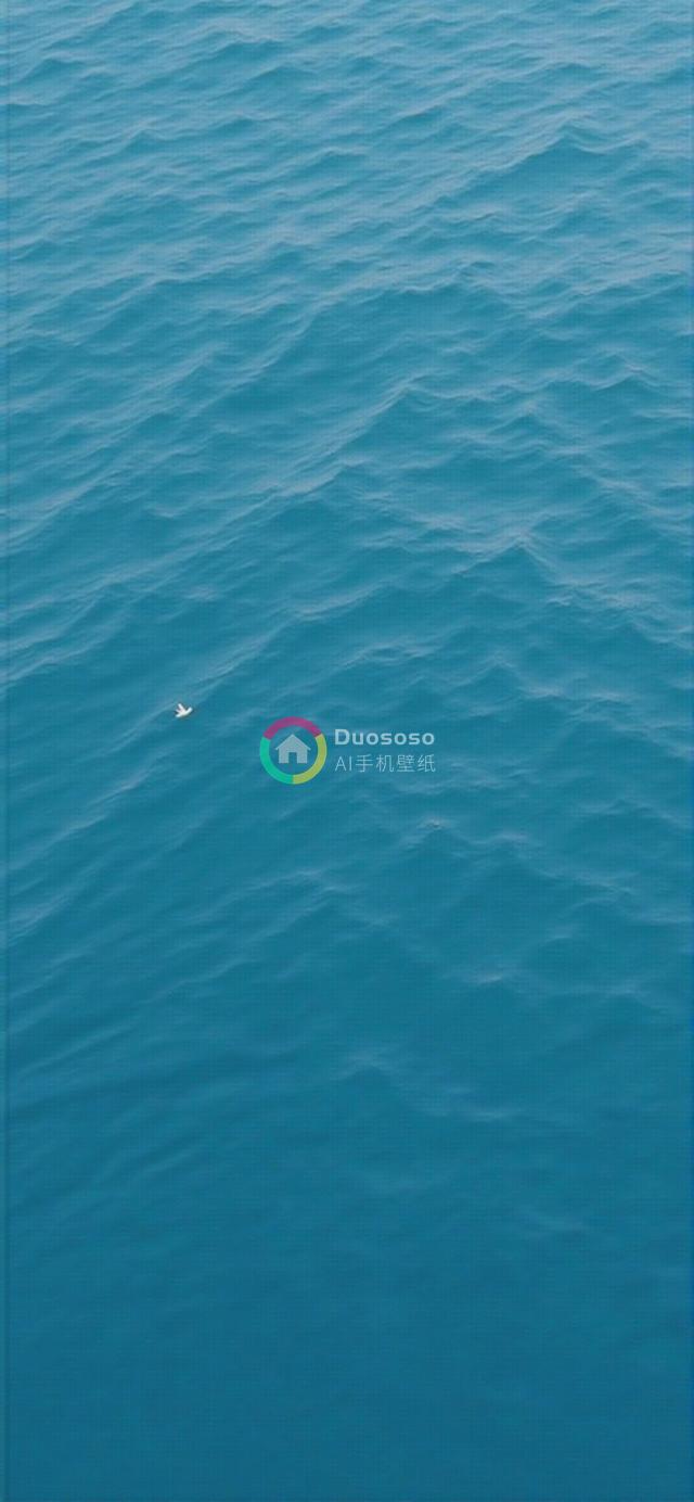 辽阔海景摄影：深蓝水域与孤鸟翱翔的宁静画布