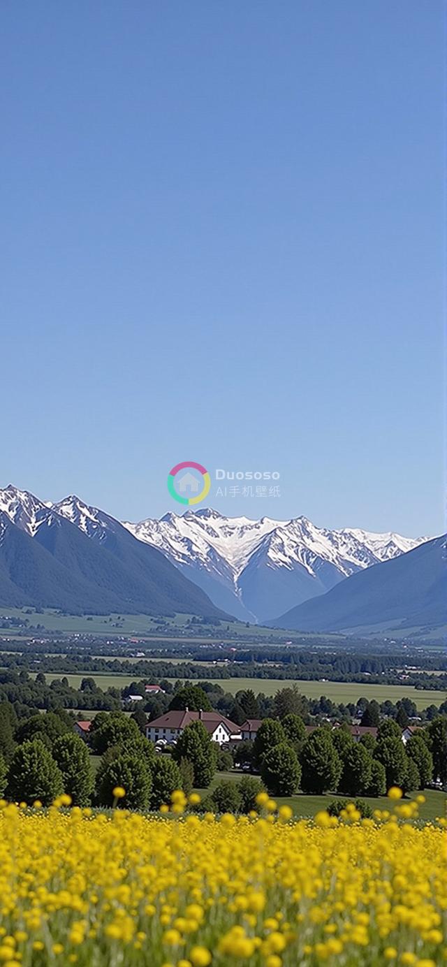 山景风光摄影：黄花开遍前景，雪峰耸立背景，展现大自然宁静之美
