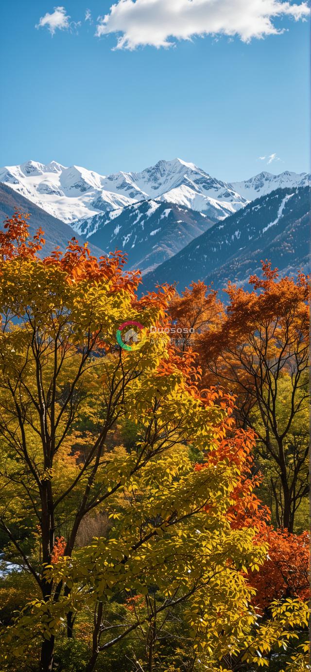 秋日迷人风光：黄橙树叶交织山林，雪峰映衬蓝天孤云
