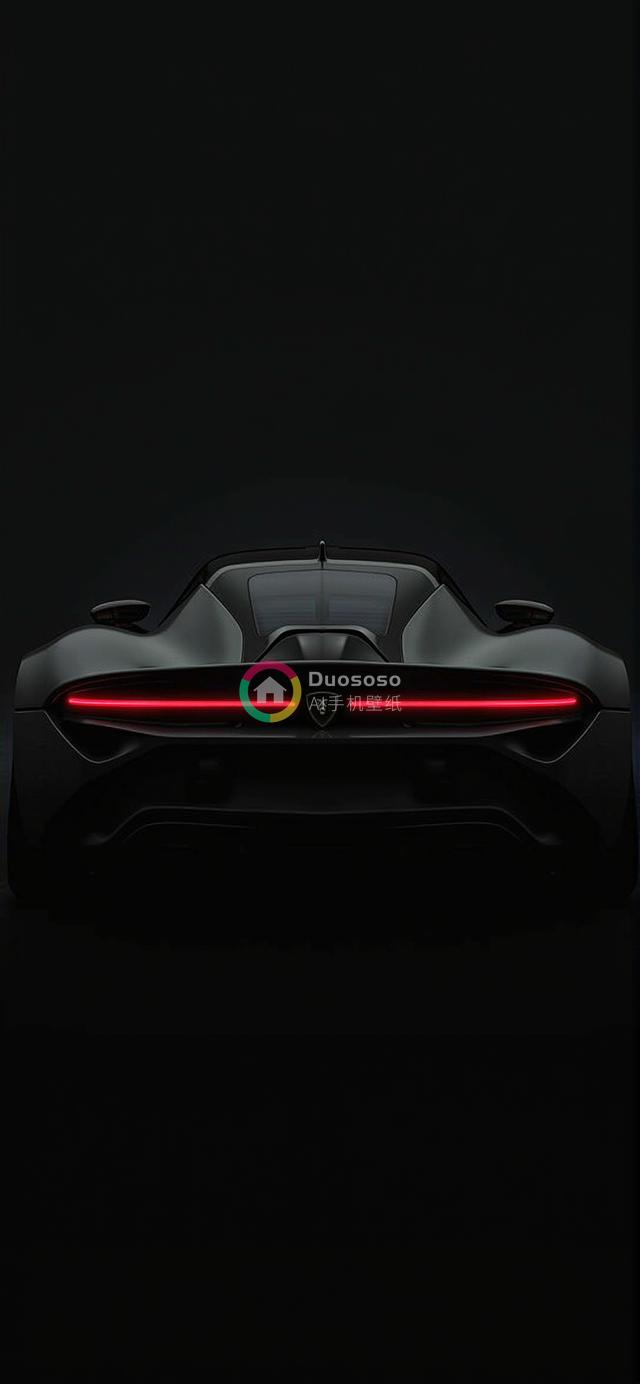 神秘力量与奢华并存的黑色跑车剪影，尾灯映衬暗夜风采