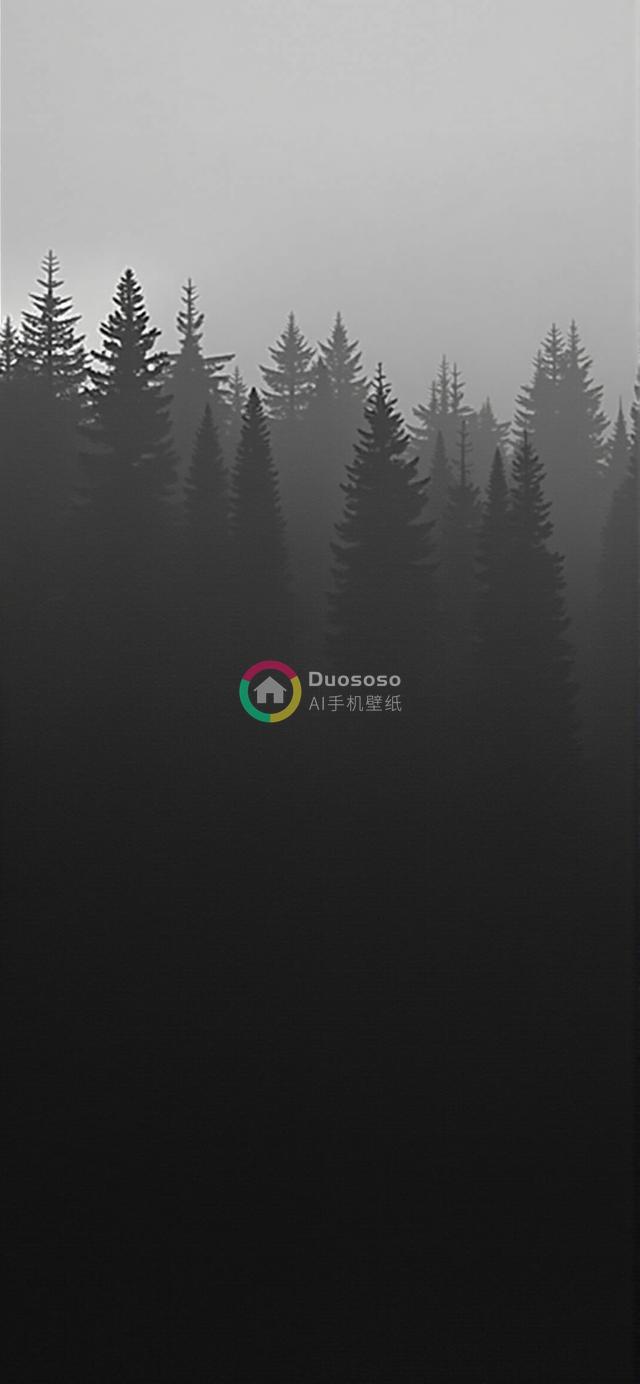 迷雾笼罩下的浓密针叶林：神秘氛围中的静谧与自然壮丽