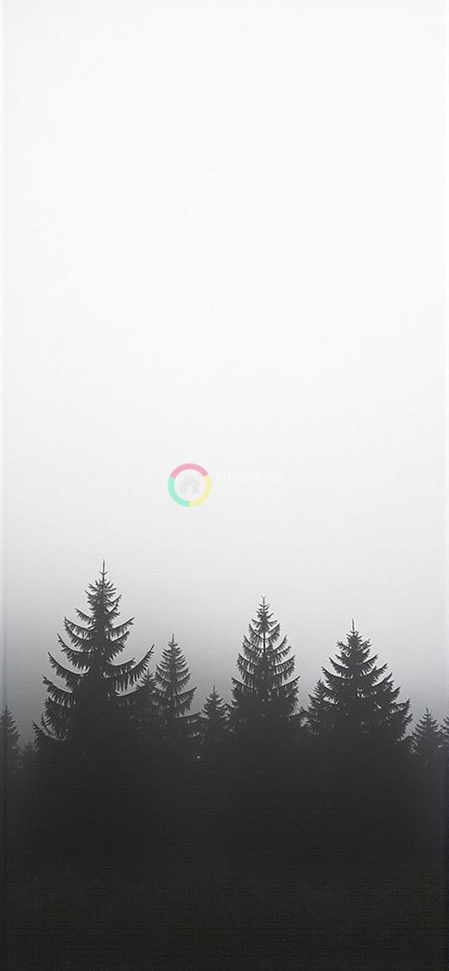 雾中松影：极简主义黑白摄影捕捉自然的神秘与宁静