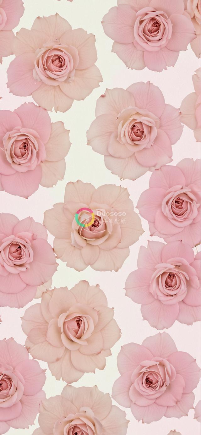 粉色玫瑰柔美和谐图案：浪漫淡雅的重复布局绽放精致美感