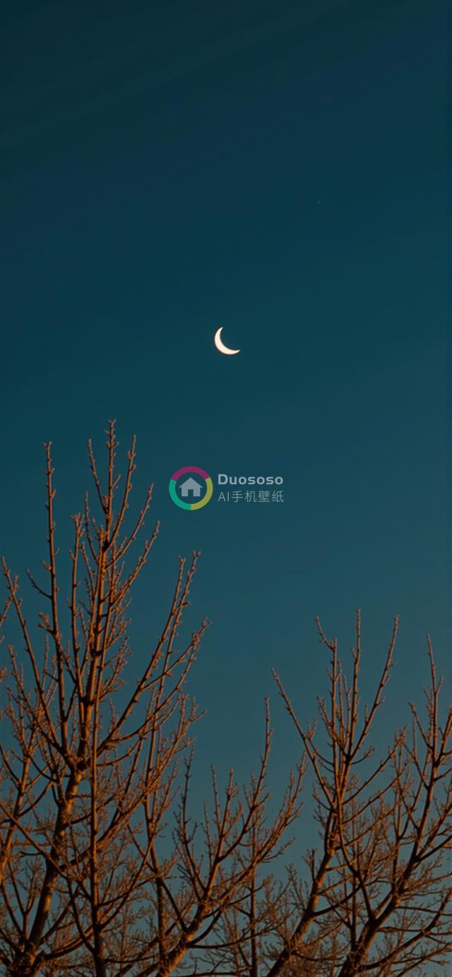 暮色蓝空中的弯月与橙棕剪影树摄影