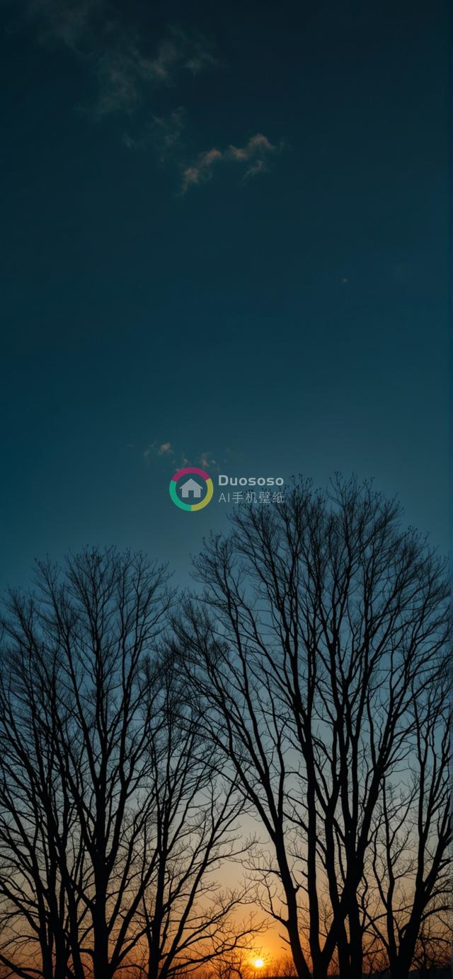 黄昏剪影：裸树轮廓框映夕阳下的深蓝天际