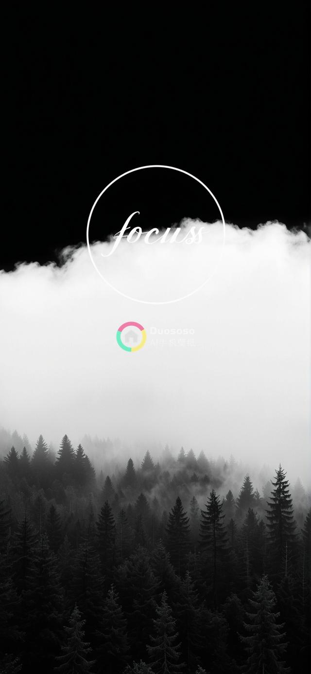 极简艺术照：浓雾笼罩下的针叶林与黑白焦点对比