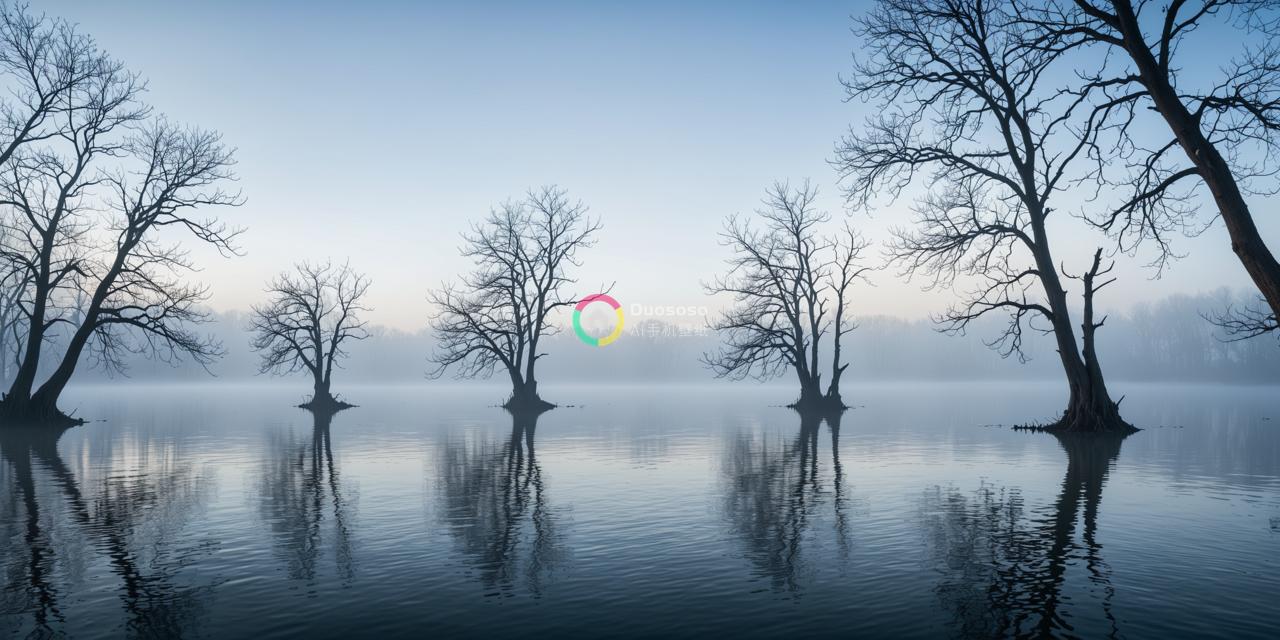 《朝霞般的晨曦》minimalist的静谧森林