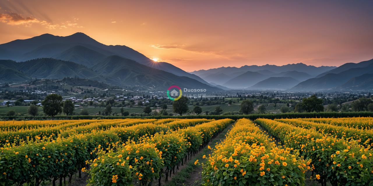 《夕阳下的壮美山谷》