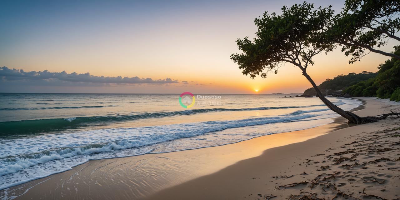 清晨海景：热带海滩的宁静与美丽