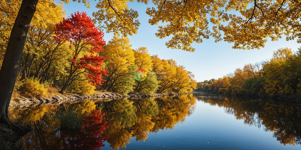 秋天河岸景色图：色彩斑斓的自然之美
