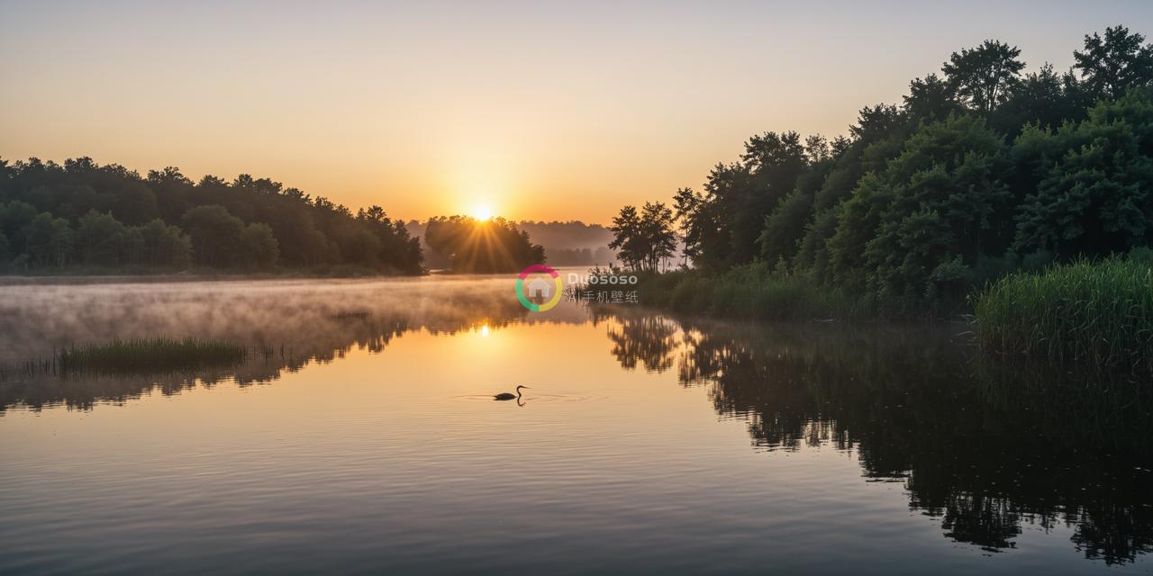 清晨的天边泛着金光，湖面笼罩着薄雾，远处树影斑驳，水面微波荡漾，宁静如镜，偶有水禽掠过，留下悠远的回声。