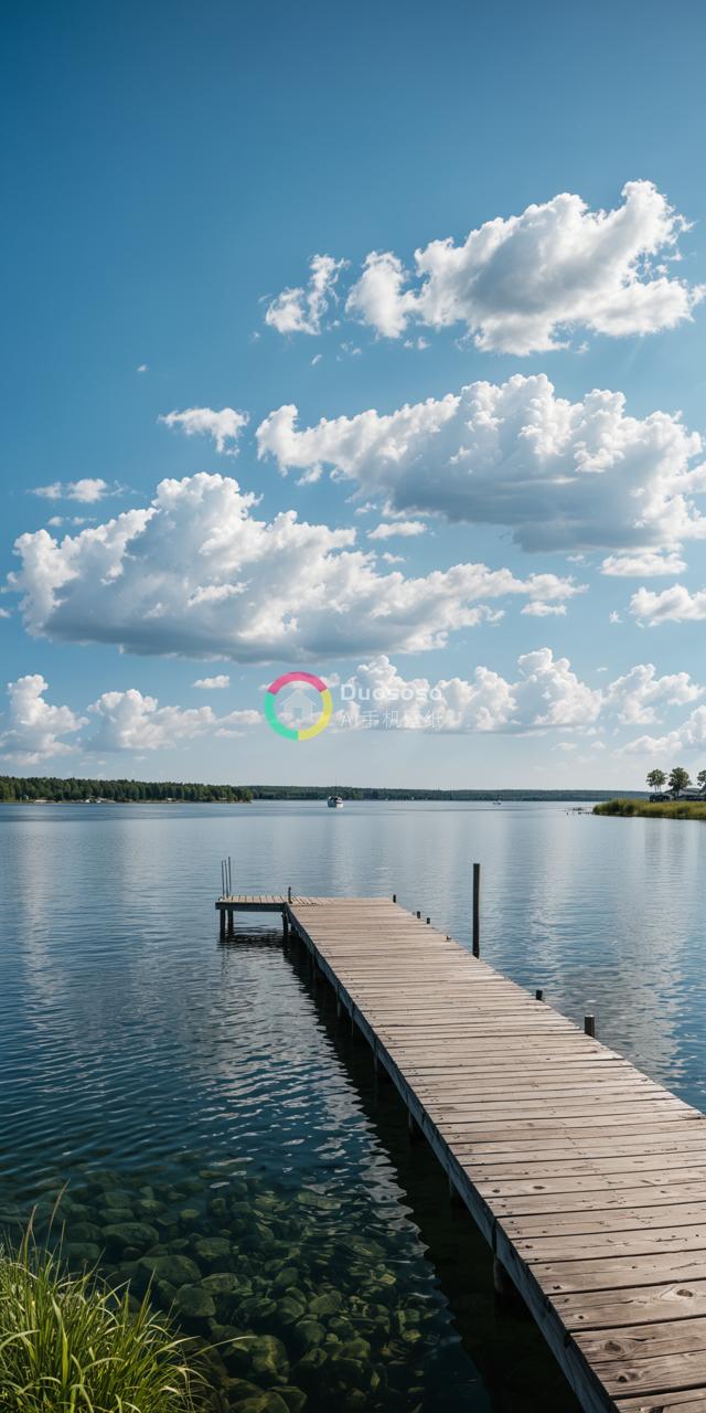 湖畔木 dock 清新画卷：宁静与生机共存